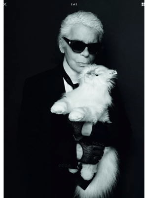 karl lagerfeld steiff teddy bear