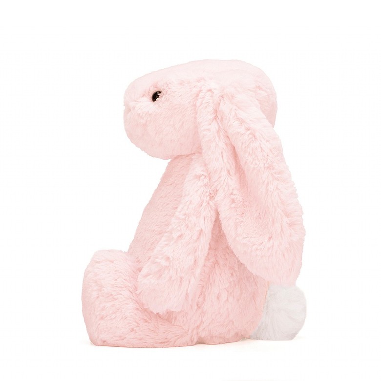 personalised jelly cat bunny