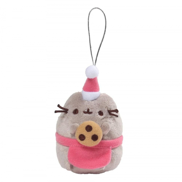 pusheen cat mystery box