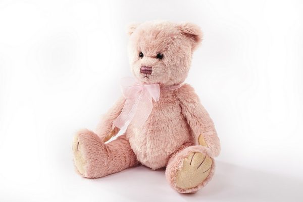 pink plush teddy bear