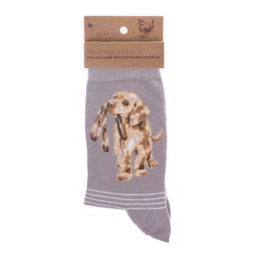 'Hopeful' Grey Dog Socks - Wrendale Designs - Design 24 Gifts