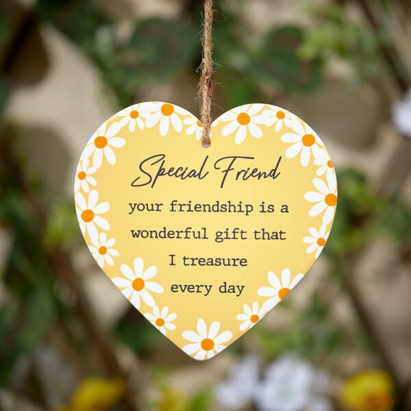 On the front it reads Special Friend Your friendship is a wonderful gift that I treasure every day