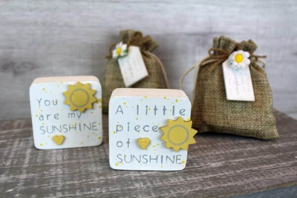 'A Little Piece of Sunshine' Sunshine Hug in a Daisy Bag - Langs