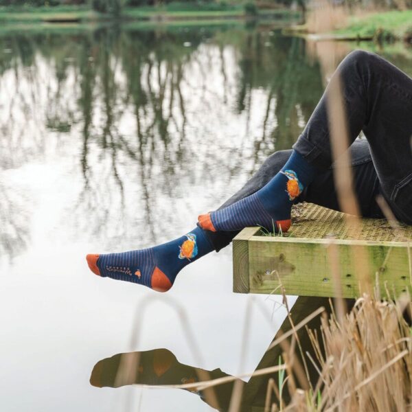 'The Kingfisher' Men's Socks - Wrendale Designs