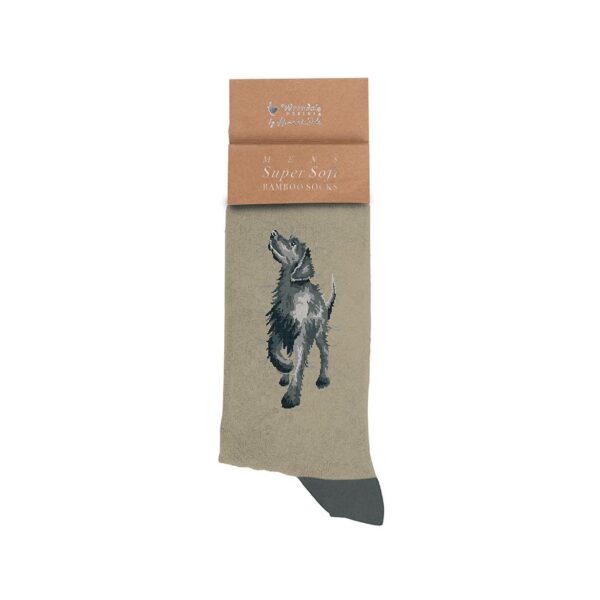 'Walkies' Black Labrador Dog Men's Socks - Wrendale Designs